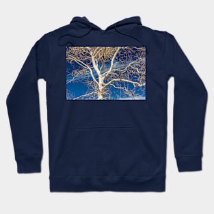 Branches and sky Hoodie